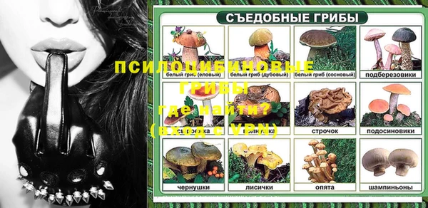 мяу мяу мука Новокубанск