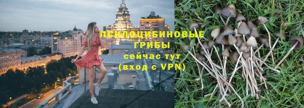 экстази Новодвинск