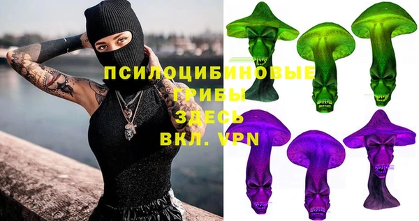 экстази Новодвинск