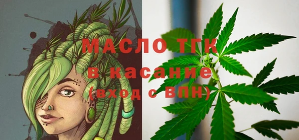 прущие грибы Верхний Тагил