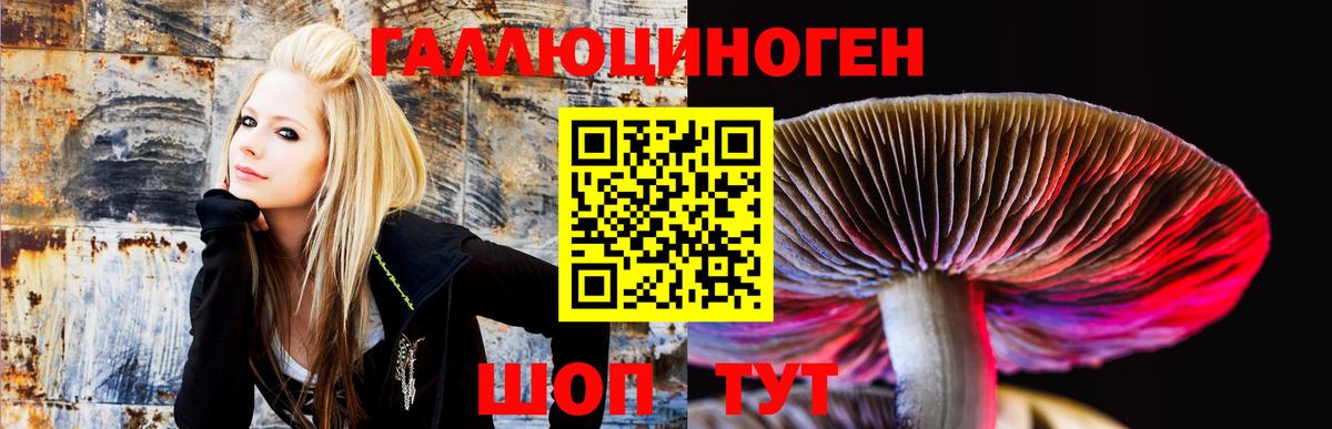 Родники  Псилоцибиновые грибы мухоморы  Галлюциногенные грибы Magic Shrooms  Вход с VPN 